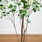 6ft. Potted Dogwood Tree with Real Touch Leaves